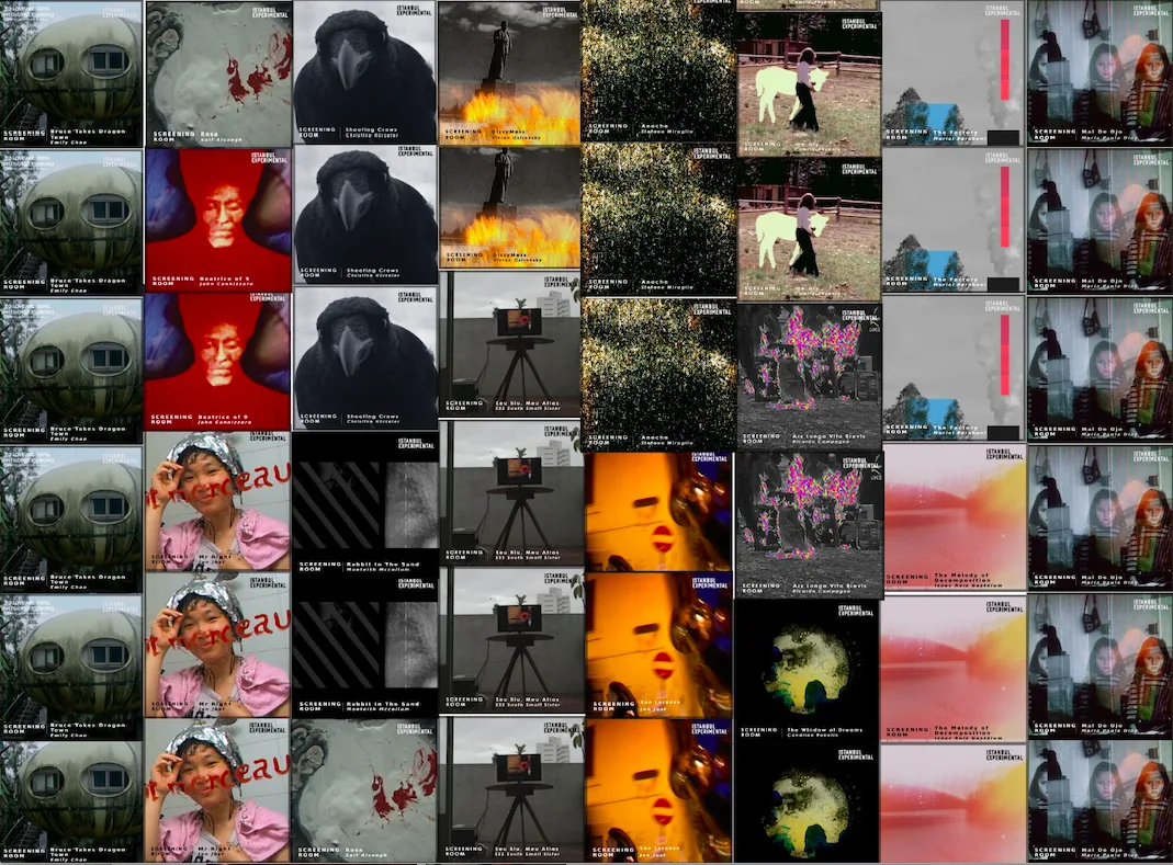 2020 festival highlight